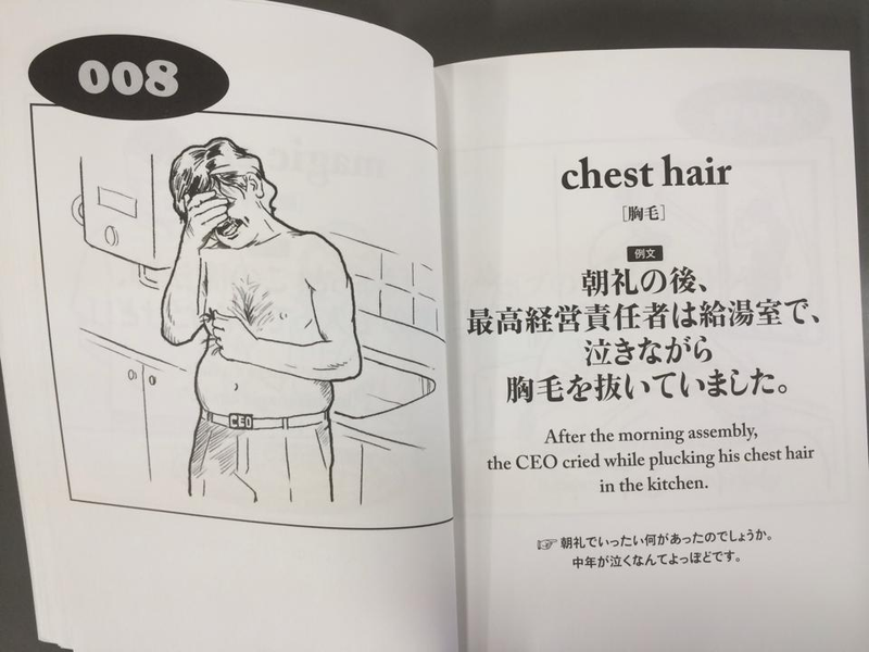Illustration for article titled Hope You Haven't Had Enough of Japan's Oddest English Book